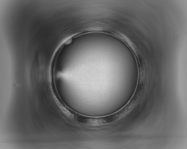 X0000116560795200912171408