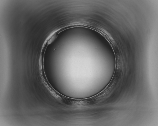 X0000116560796200912171408