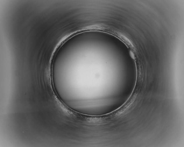 X0000116560800200912171408