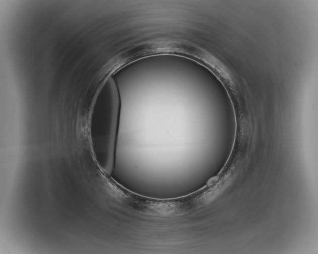 X0000116560801200912171408