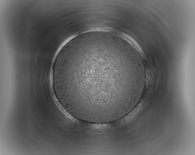 X0000116560804200912171408