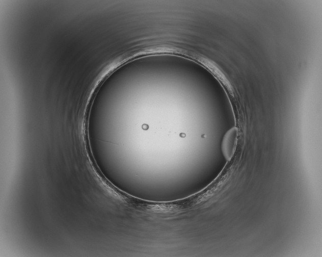 X0000116560805200912171408