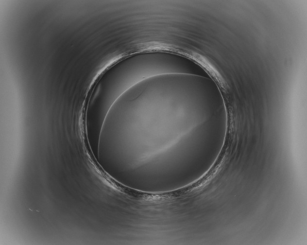 X0000116560806200912171408