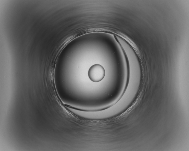 X0000116560809200912171408