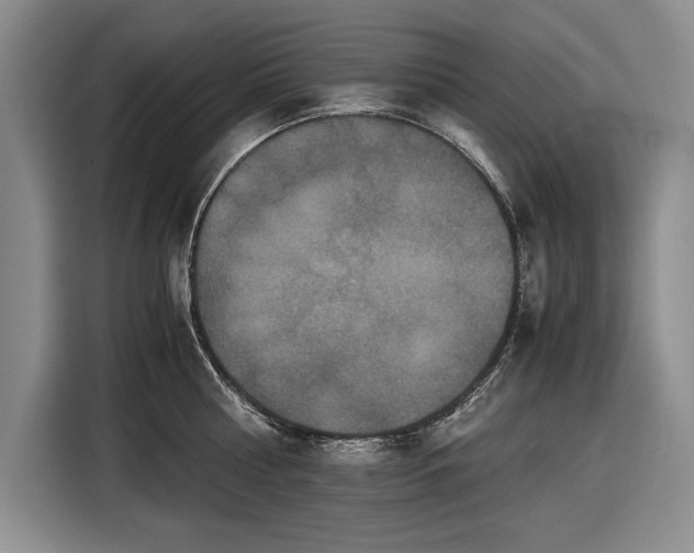 X0000116560810200912171408