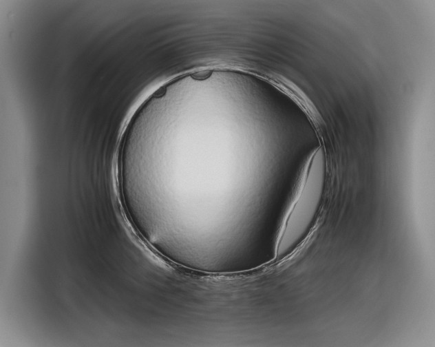 X0000116560812200912171408