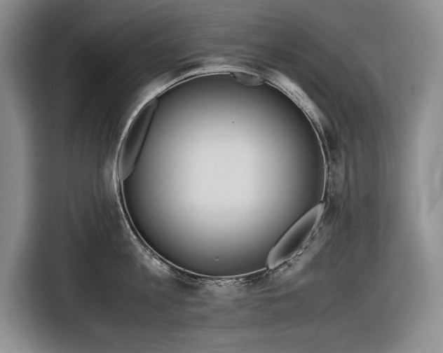 X0000116560813200912171408