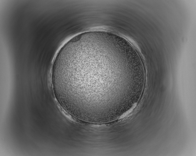 X0000116560816200912171408