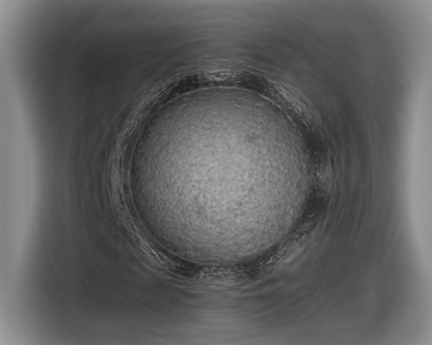 X0000116560817200912171408