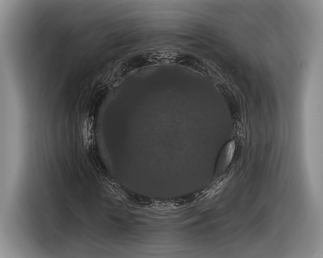 X0000116560818200912171408