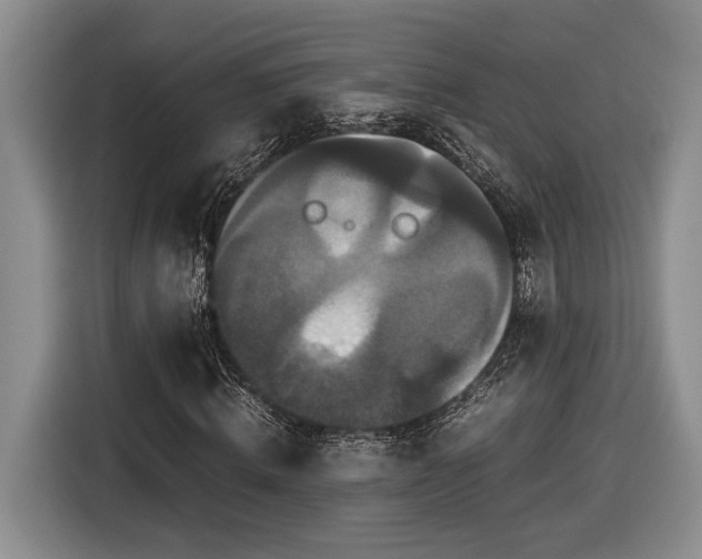 X0000116560820200912171408