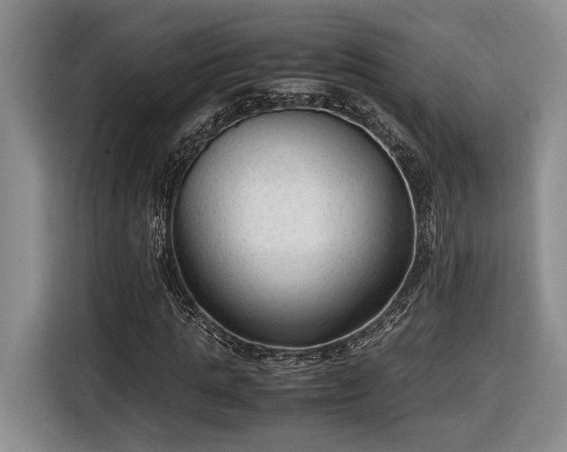 X0000116560821200912171408