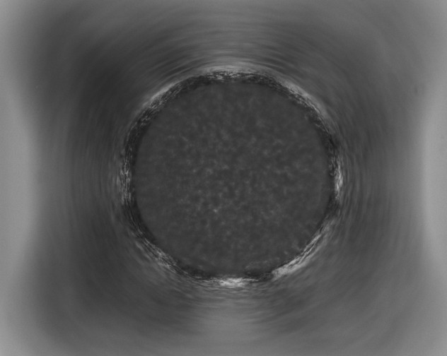 X0000116560822200912171408