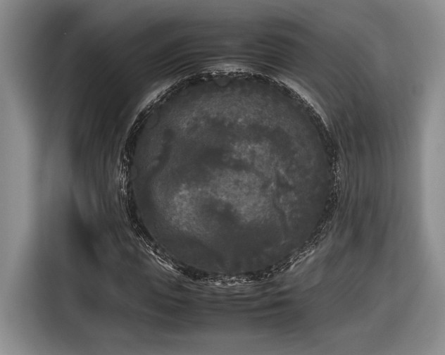 X0000116560823200912171408