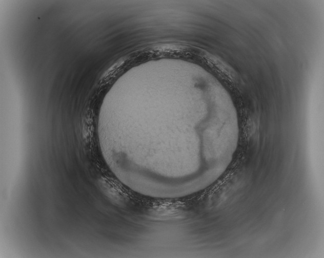 X0000116560824200912171408