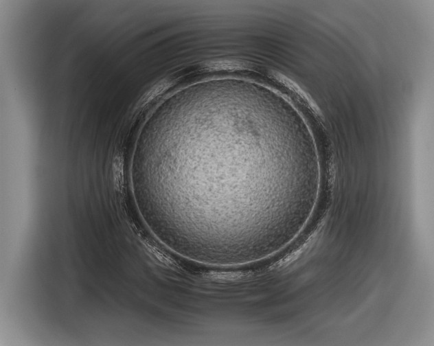 X0000116560825200912171408