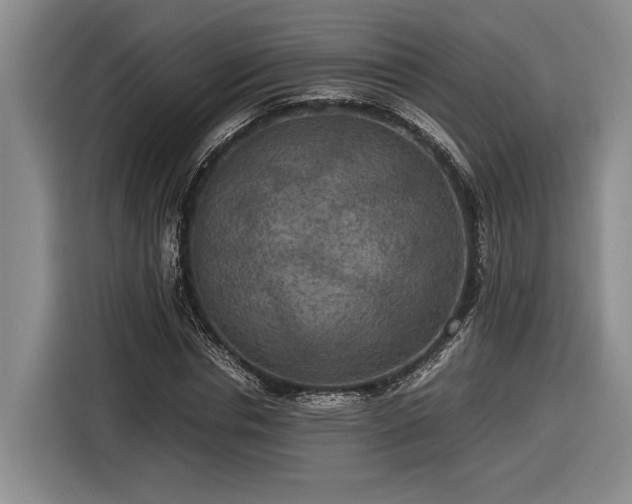 X0000116560826200912171408