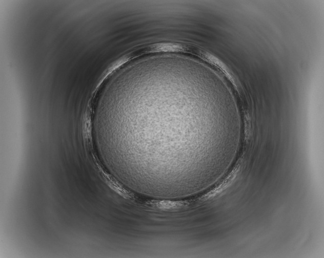 X0000116560827200912171408