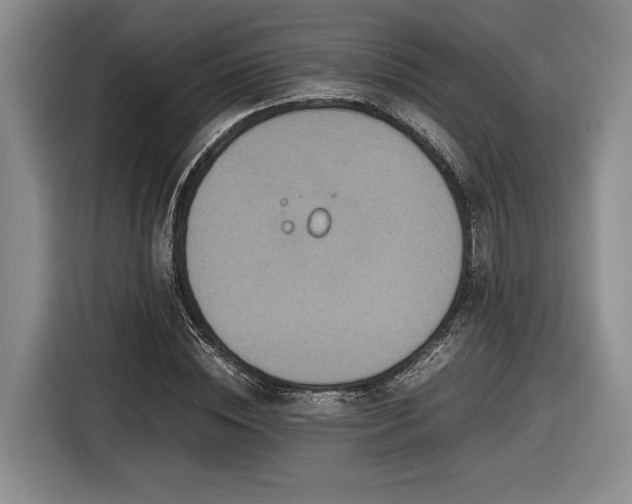 X0000116560828200912171408