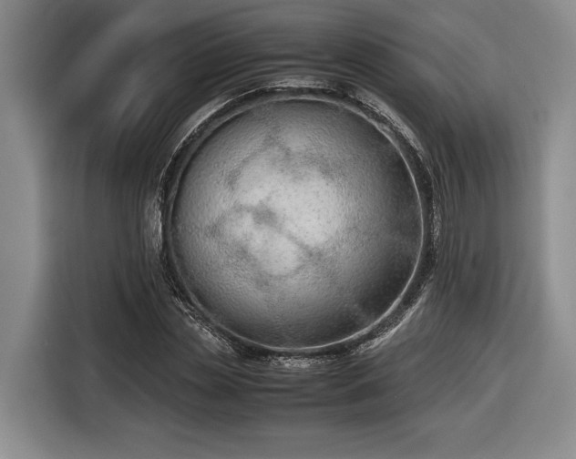 X0000116560829200912171408