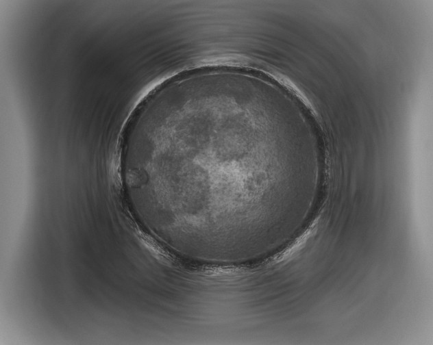 X0000116560830200912171408