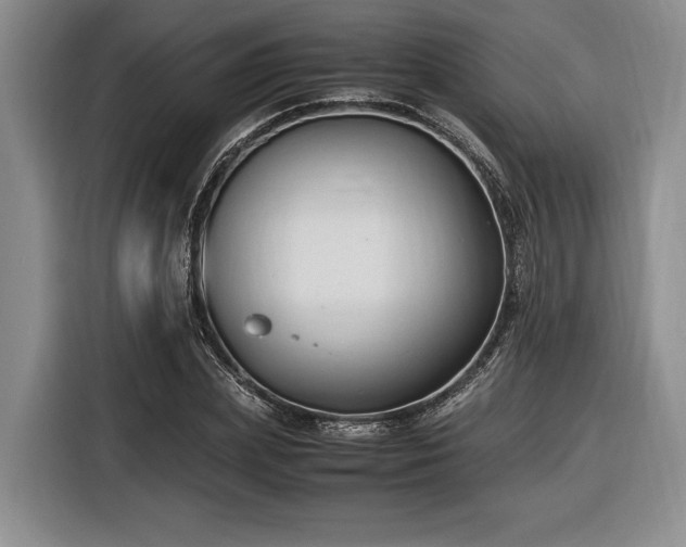 X0000116560831200912171408