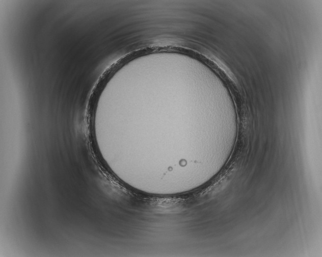 X0000116560832200912171408