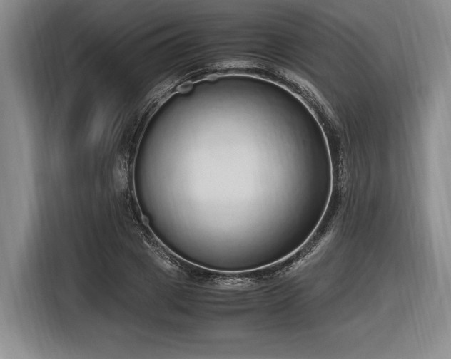 X0000116560833200912171408