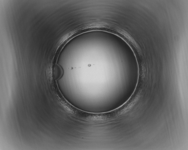 X0000116560834200912171408