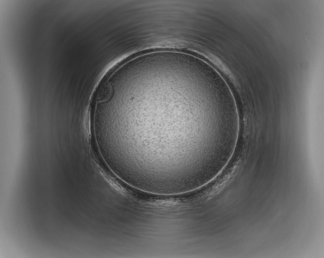 X0000116560838200912171408