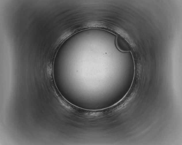 X0000116560841200912171408