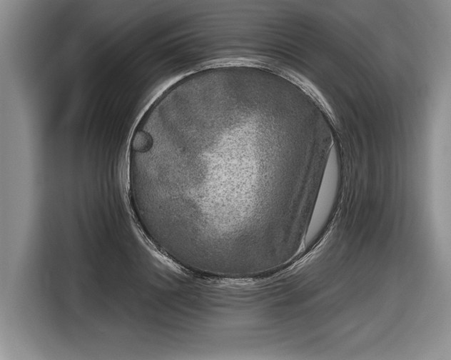 X0000116560844200912171408