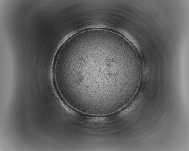 X0000116560845200912171408