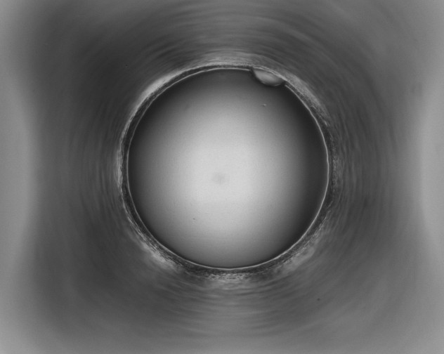 X0000116560846200912171408