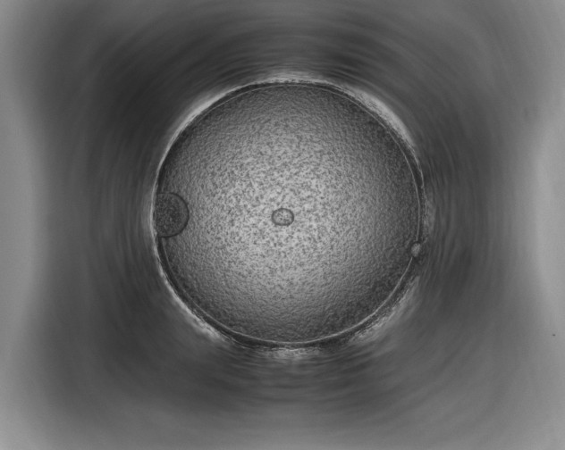 X0000116560847200912171408