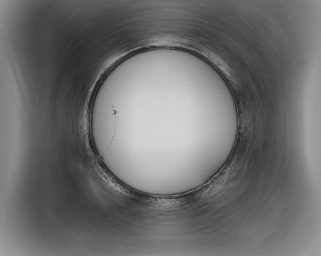 X0000116560848200912171408