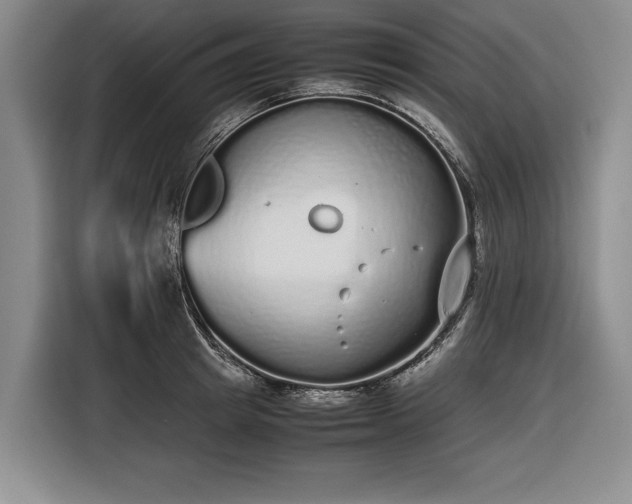 X0000116560849200912171408