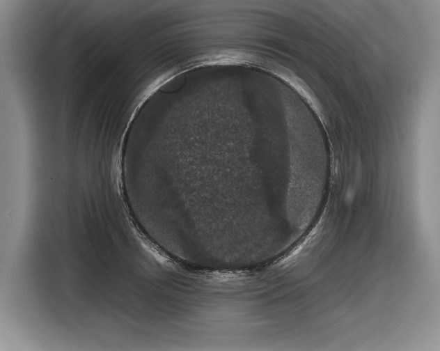 X0000116560850200912171408