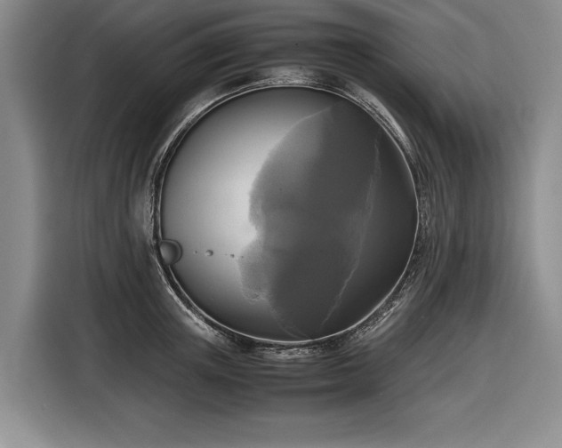 X0000116560851200912171408