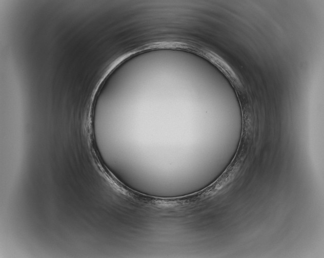 X0000116560852200912171408