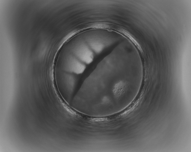 X0000116560853200912171408