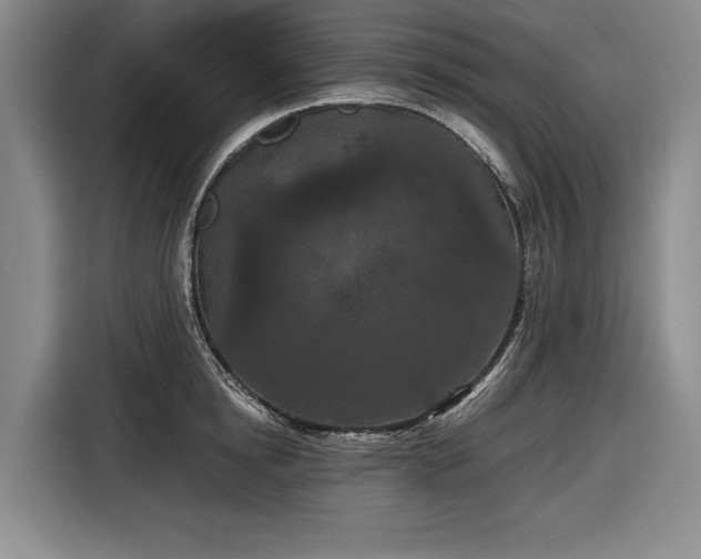 X0000116560854200912171408