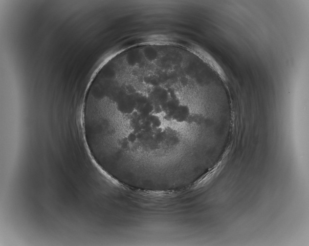 X0000116560855200912171408