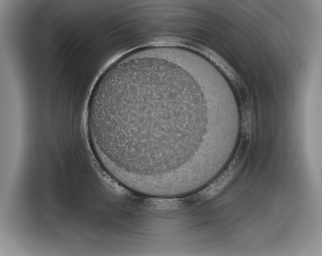 X0000116560856200912171408