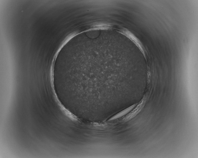 X0000116560859200912171408