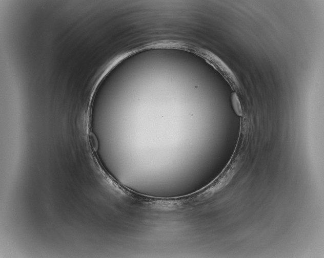 X0000116560860200912171408