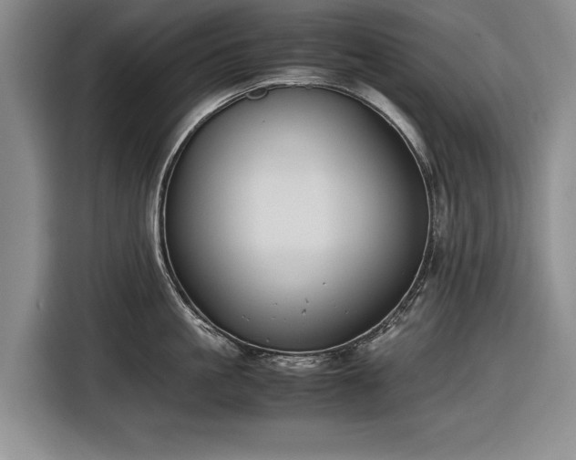 X0000116560861200912171408