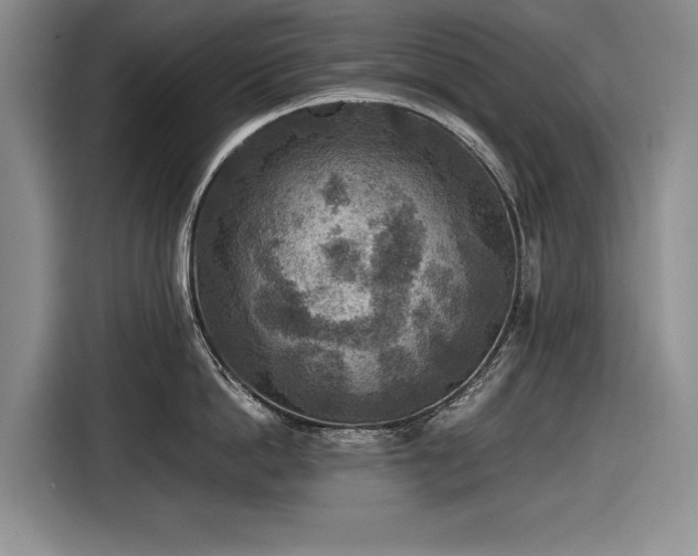 X0000116560862200912171408