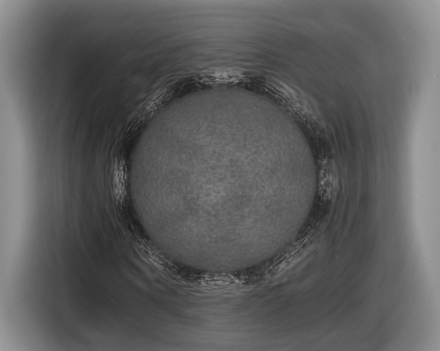 X0000116560866200912171407