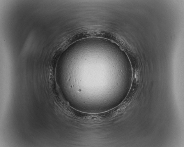 X0000116560867200912171407